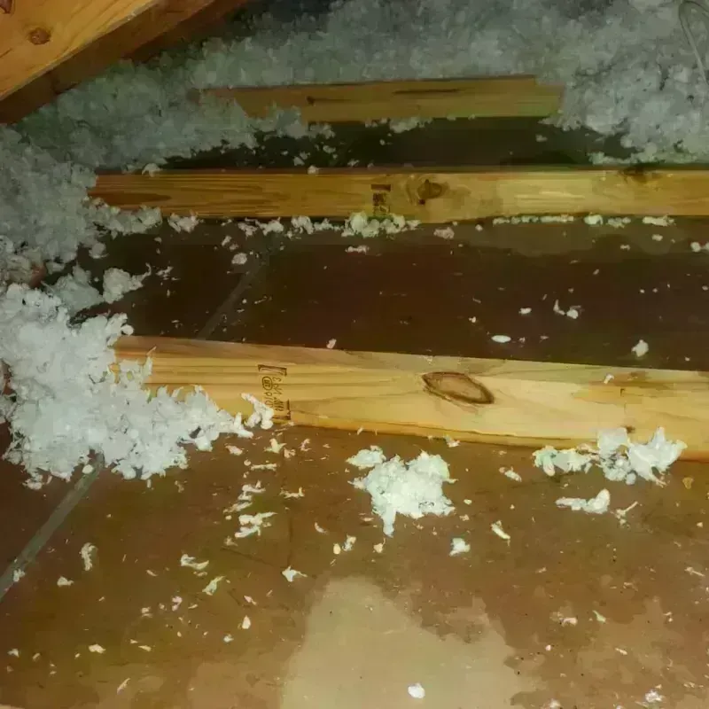 Attic Water Damage in Crystal City, TX