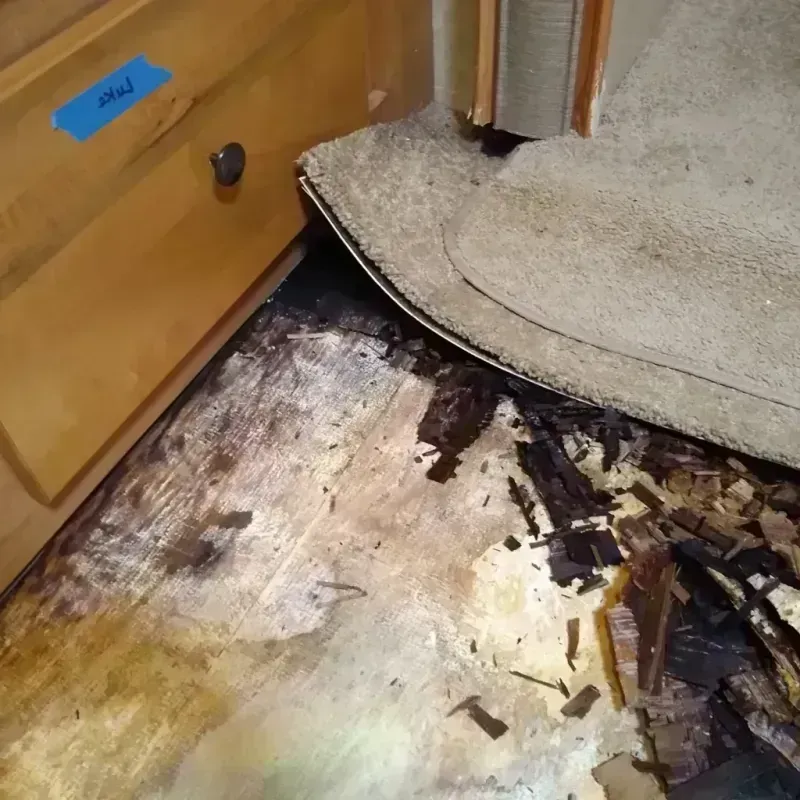 Wood Floor Water Damage in Crystal City, TX